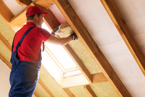 Types of Insulation We Offer in Norris, TN